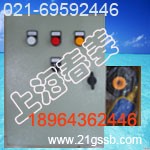 供应ISWD125-100变频增压水泵